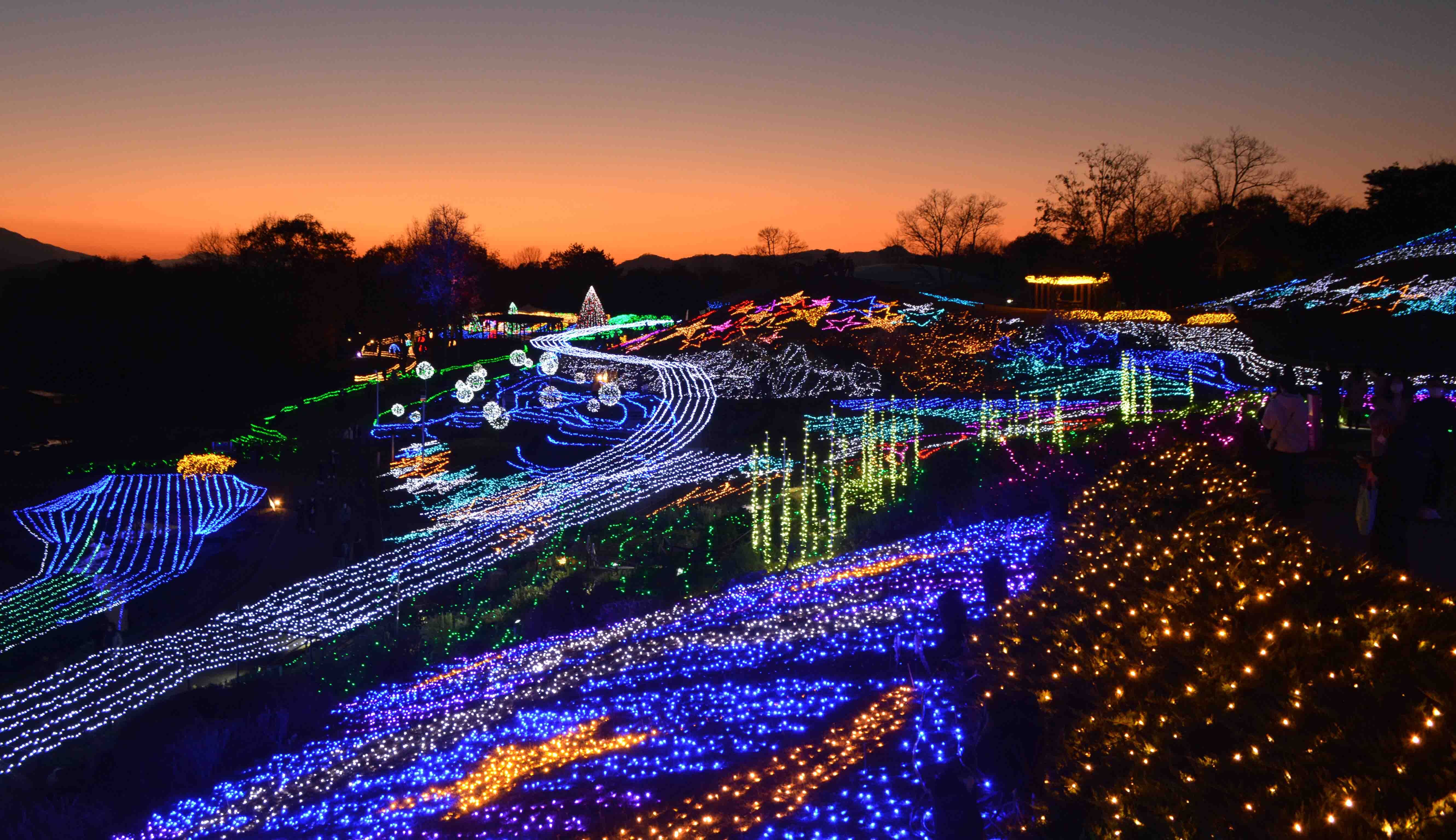 まんのう公園のイルミネーション まんのう公園のイルミネーション